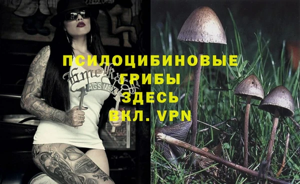 винт Корсаков