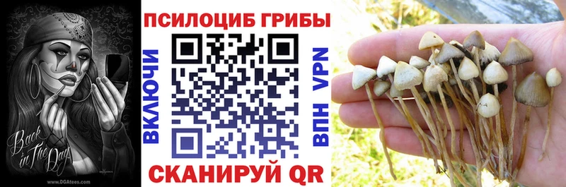 наркотики  Сызрань  KRAKEN онион  Псилоцибиновые грибы Psilocybe 