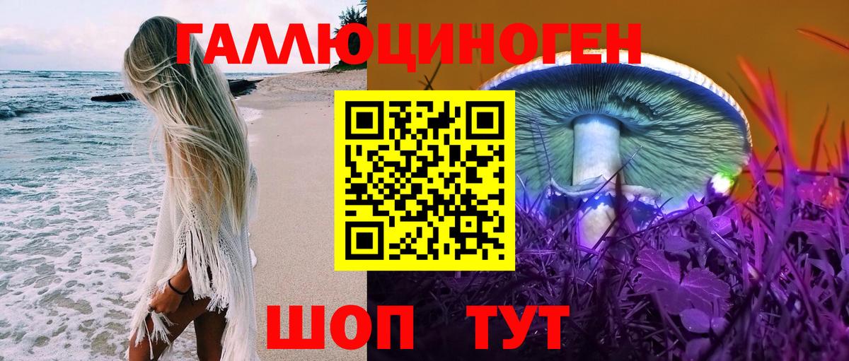 Галлюциногенные грибы Psilocybine cubensis  Вход с VPN  Сызрань  Псилоцибиновые грибы Cubensis 